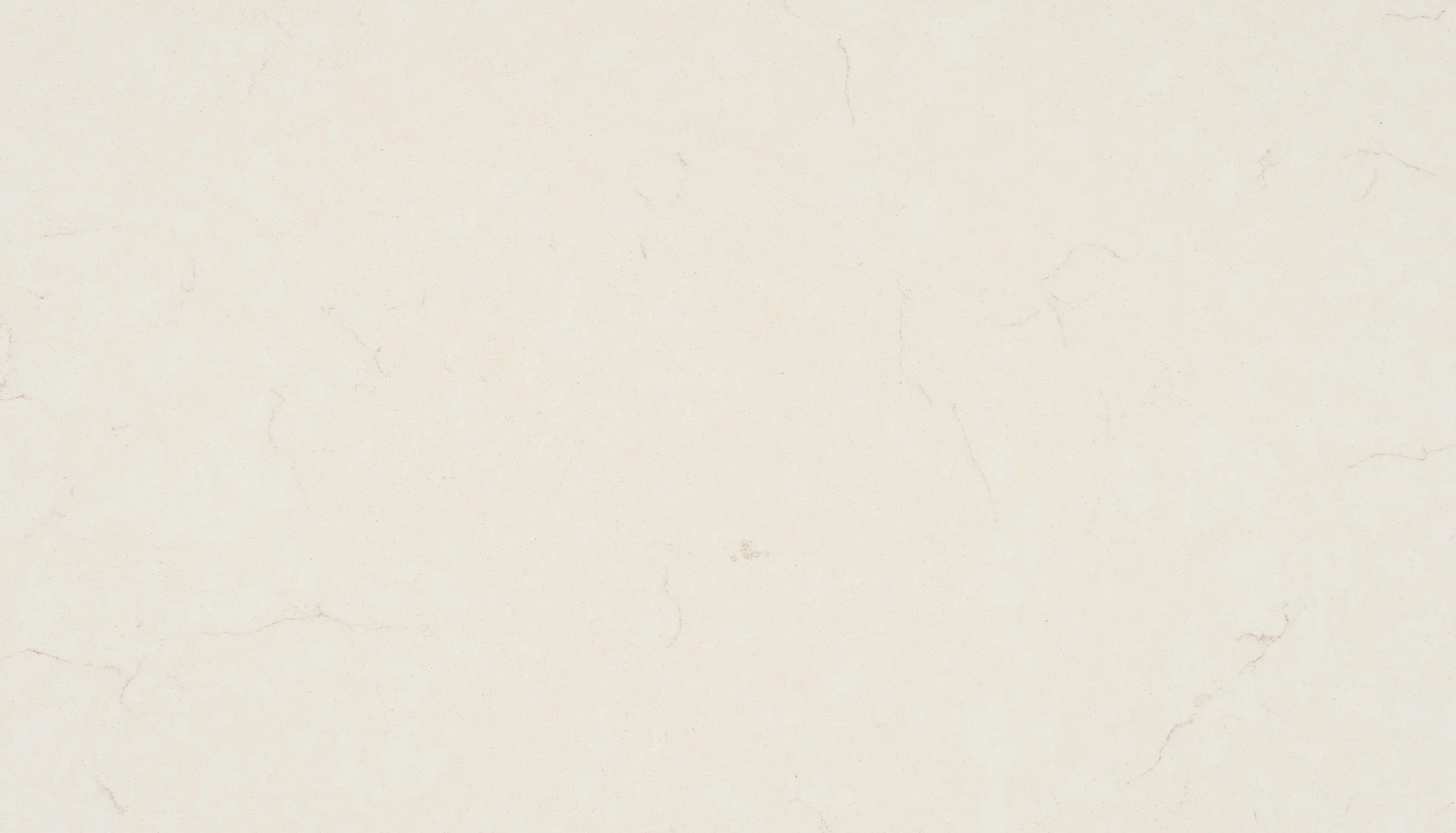 MARTINA BEIGE-Close UP