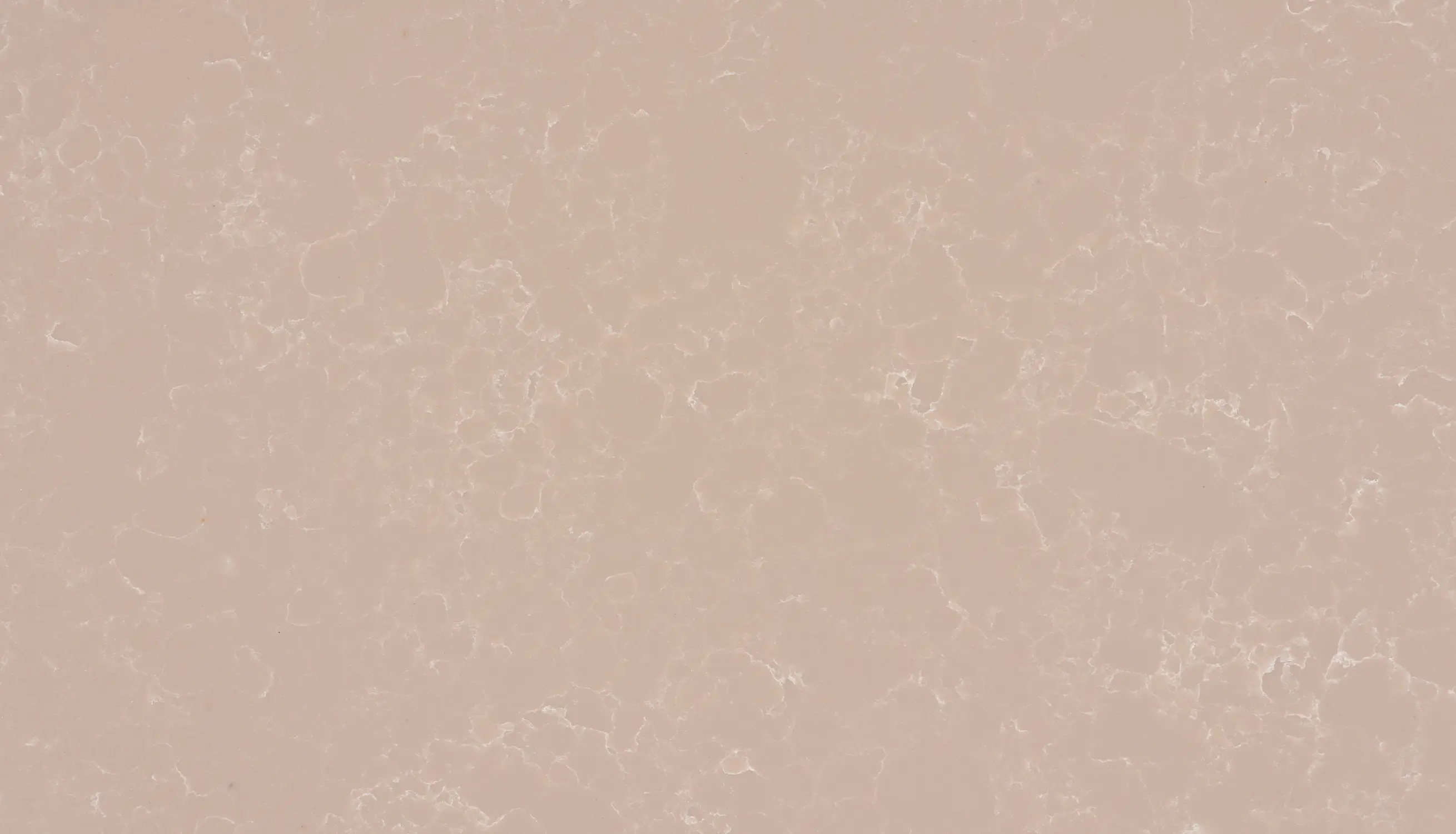 ROSO CHIARO-Close UP