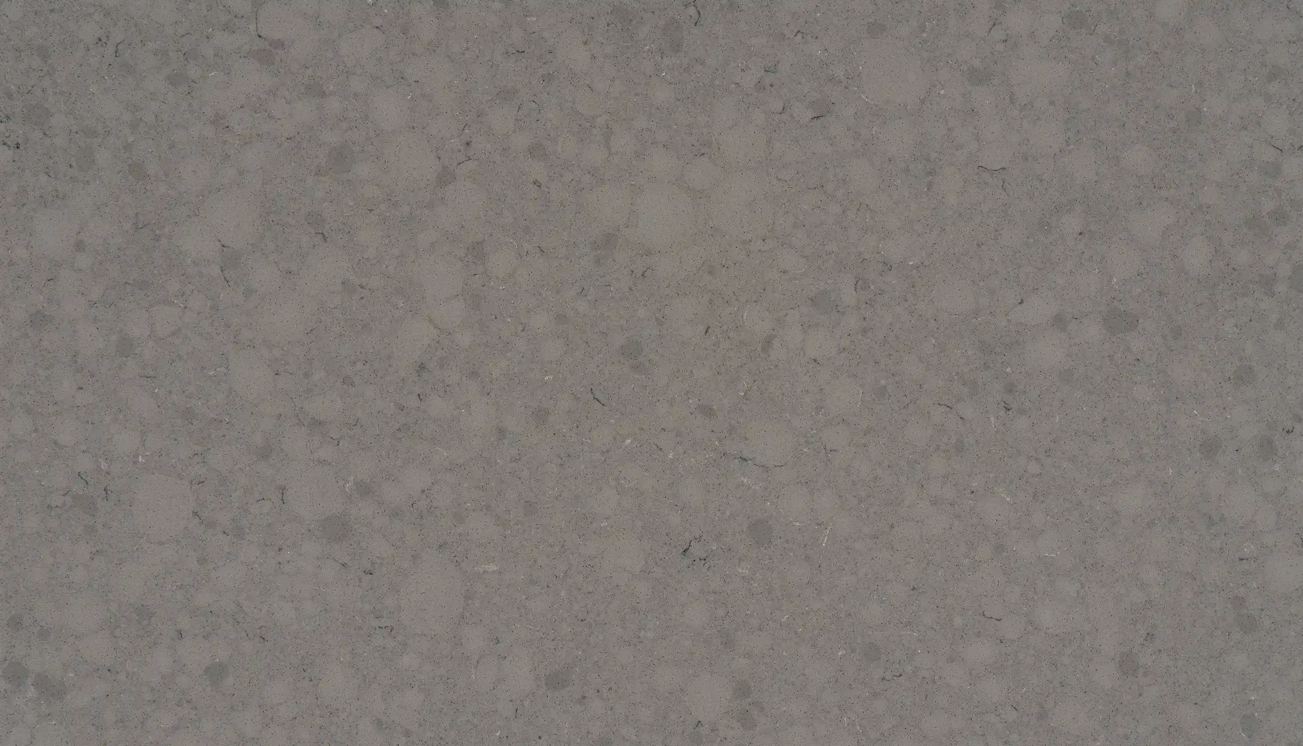 MONTERARY GRIS-Close UP