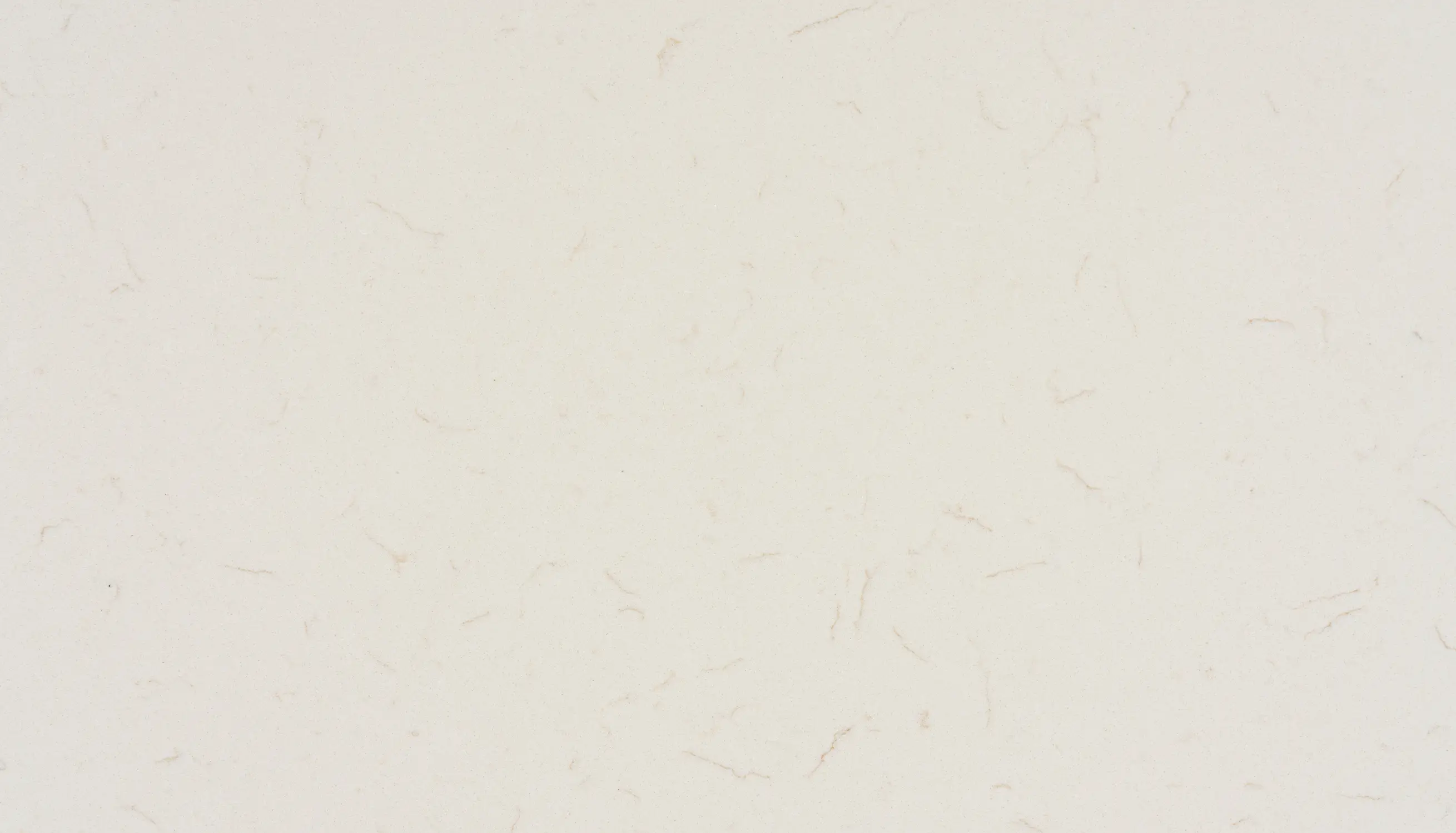 SOFIA BEIGE-Close UP