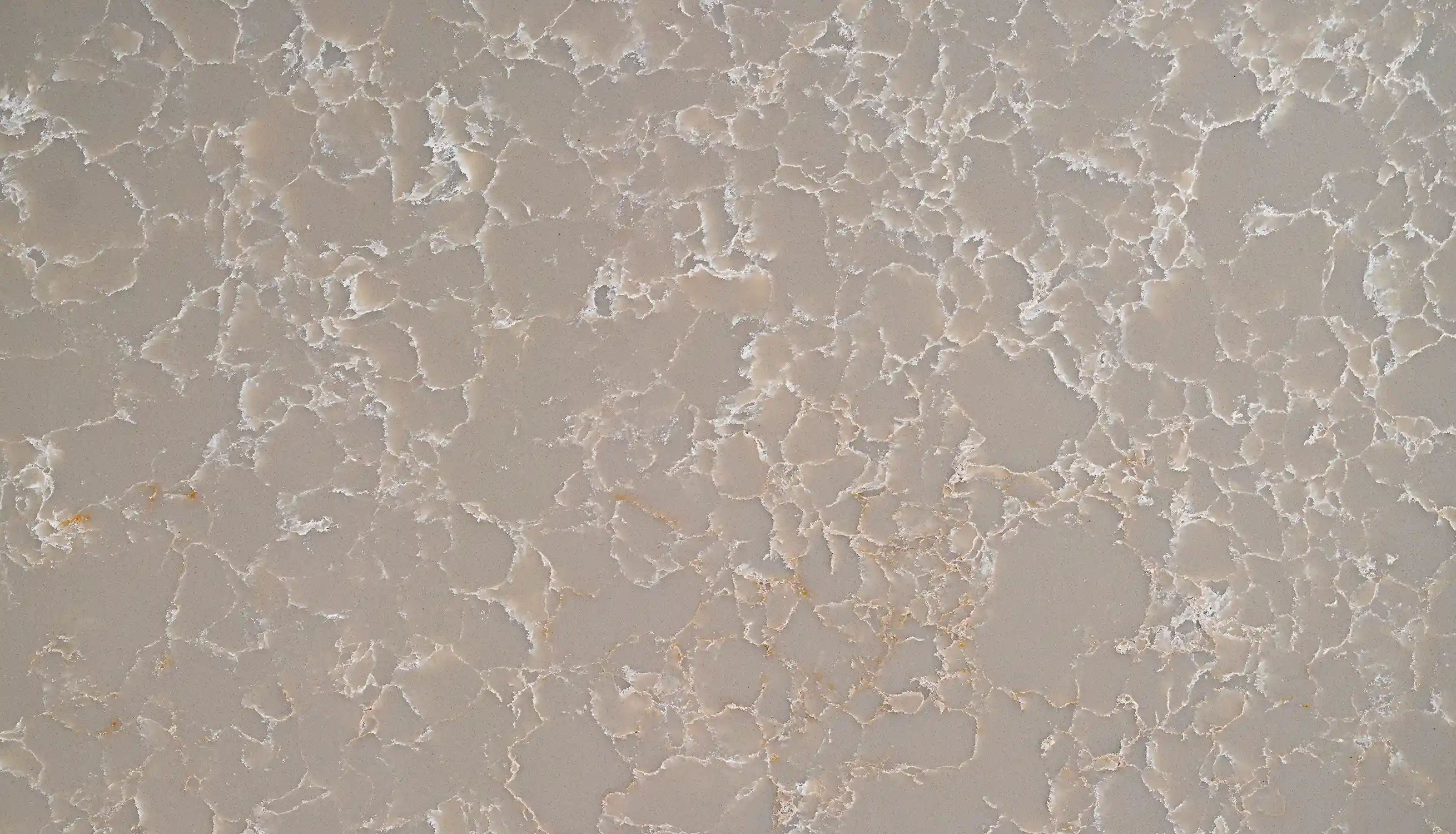 LUMERA-Close UP