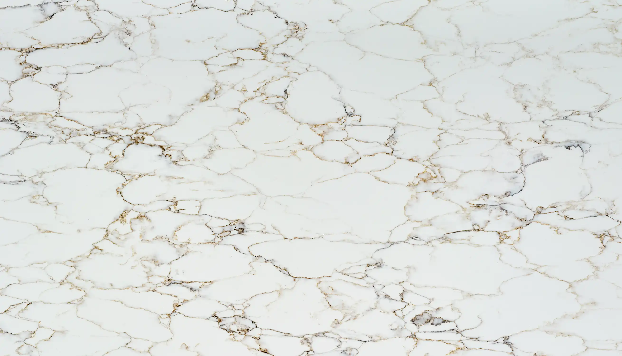 NEVEA GOLD-Close UP