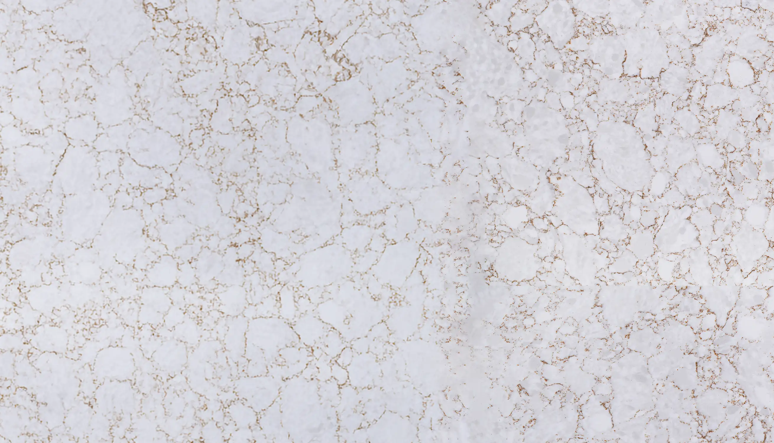 Carrara Lucia-Close UP