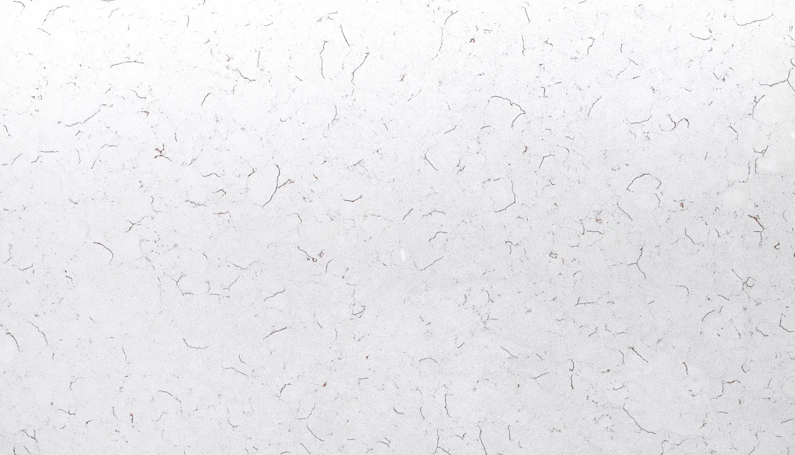 SOFIA BEIGE
