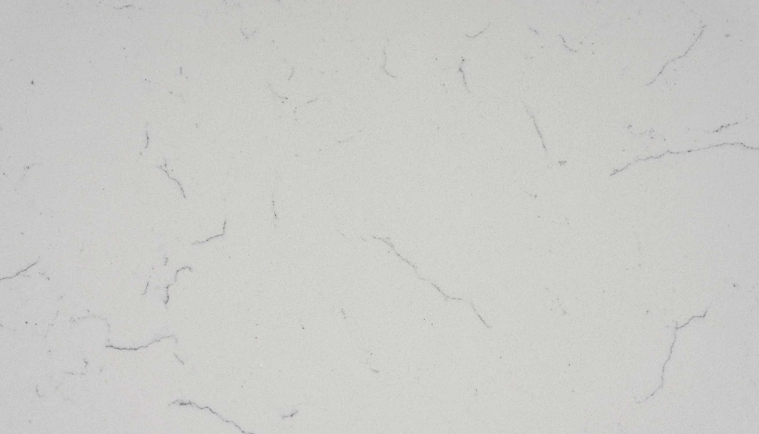 CRISP STRIA-Close UP